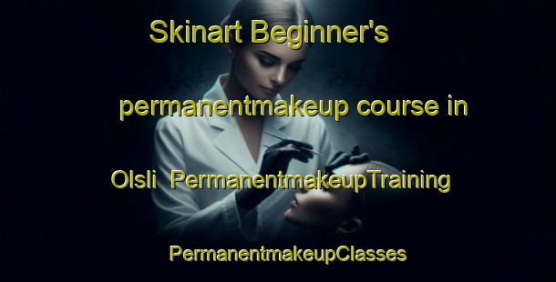 Skinart Beginner's permanentmakeup course in Olsli | PermanentmakeupTraining | PermanentmakeupClasses | SkinartTraining-Norway