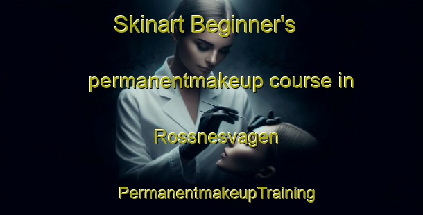 Skinart Beginner's permanentmakeup course in Rossnesvagen | PermanentmakeupTraining | PermanentmakeupClasses | SkinartTraining-Norway