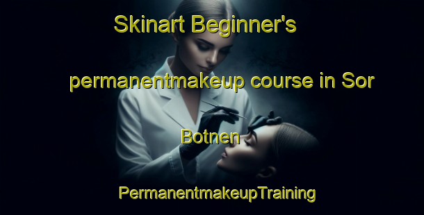 Skinart Beginner's permanentmakeup course in Sor Botnen | PermanentmakeupTraining | PermanentmakeupClasses | SkinartTraining-Norway