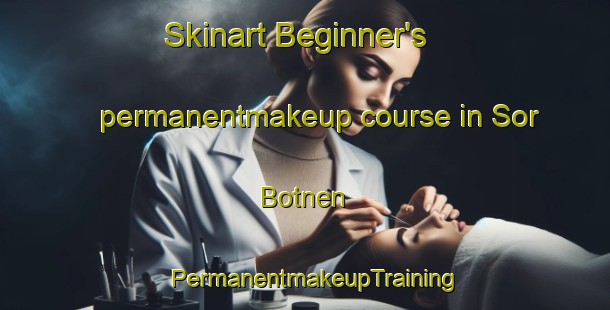 Skinart Beginner's permanentmakeup course in Sor Botnen | PermanentmakeupTraining | PermanentmakeupClasses | SkinartTraining-Norway