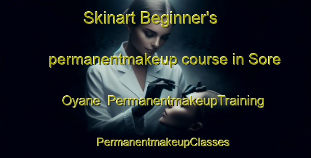 Skinart Beginner's permanentmakeup course in Sore Oyane | #PermanentmakeupTraining #PermanentmakeupClasses #SkinartTraining-Norway