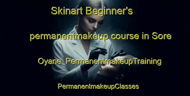 Skinart Beginner's permanentmakeup course in Sore Oyane | PermanentmakeupTraining | PermanentmakeupClasses | SkinartTraining-Norway