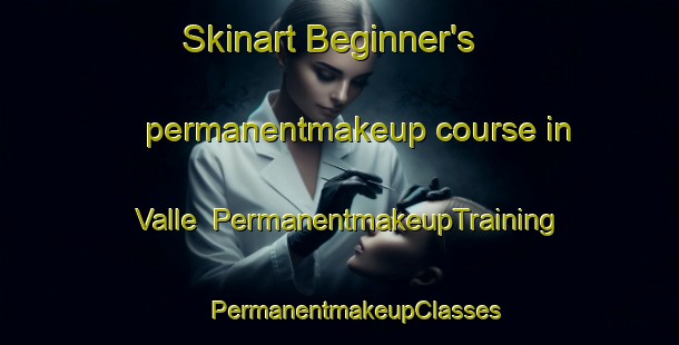 Skinart Beginner's permanentmakeup course in Valle | #PermanentmakeupTraining #PermanentmakeupClasses #SkinartTraining-Norway