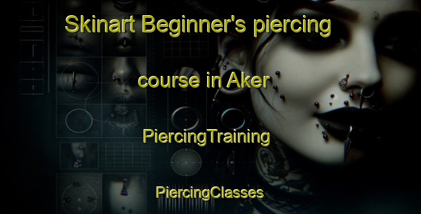 Skinart Beginner's piercing course in Aker | #PiercingTraining #PiercingClasses #SkinartTraining-Norway