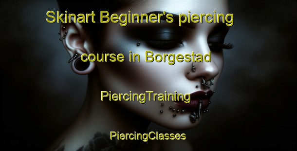 Skinart Beginner's piercing course in Borgestad | #PiercingTraining #PiercingClasses #SkinartTraining-Norway