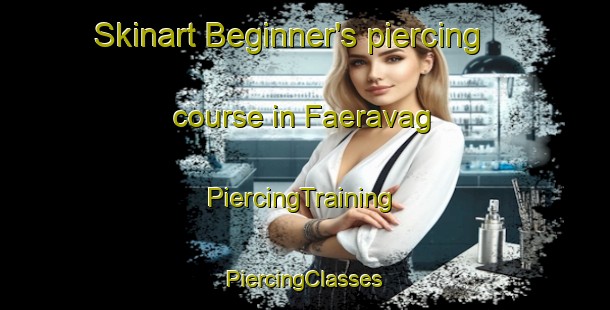 Skinart Beginner's piercing course in Faeravag | #PiercingTraining #PiercingClasses #SkinartTraining-Norway