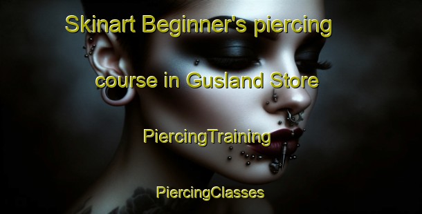 Skinart Beginner's piercing course in Gusland Store | #PiercingTraining #PiercingClasses #SkinartTraining-Norway