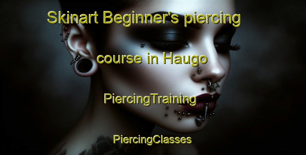 Skinart Beginner's piercing course in Haugo | #PiercingTraining #PiercingClasses #SkinartTraining-Norway