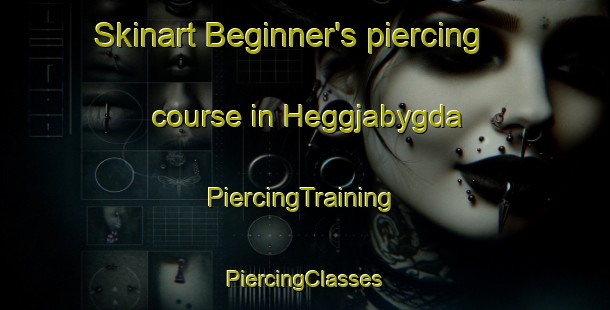 Skinart Beginner's piercing course in Heggjabygda | #PiercingTraining #PiercingClasses #SkinartTraining-Norway