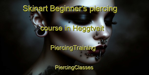 Skinart Beginner's piercing course in Heggtveit | #PiercingTraining #PiercingClasses #SkinartTraining-Norway