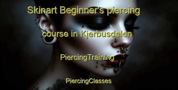 Skinart Beginner's piercing course in Kjerbusdalen | #PiercingTraining #PiercingClasses #SkinartTraining-Norway