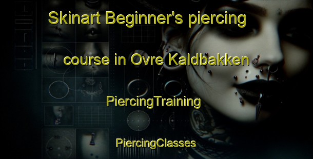 Skinart Beginner's piercing course in Ovre Kaldbakken | #PiercingTraining #PiercingClasses #SkinartTraining-Norway