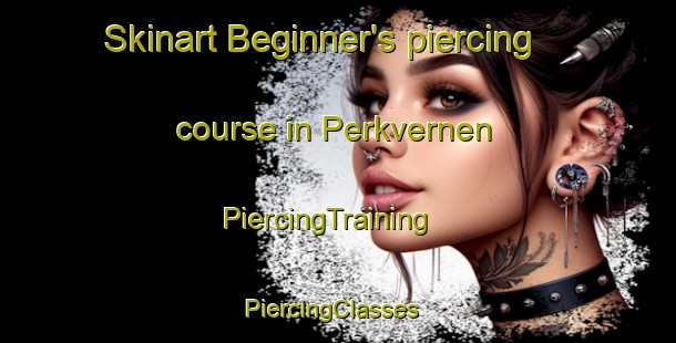 Skinart Beginner's piercing course in Perkvernen | PiercingTraining | PiercingClasses | SkinartTraining-Norway