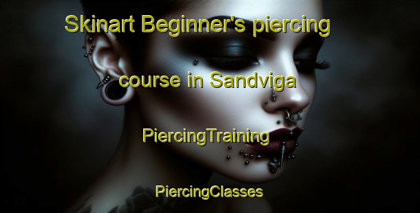 Skinart Beginner's piercing course in Sandviga | #PiercingTraining #PiercingClasses #SkinartTraining-Norway