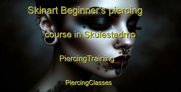 Skinart Beginner's piercing course in Skulestadmo | PiercingTraining | PiercingClasses | SkinartTraining-Norway