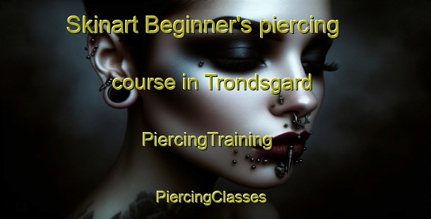 Skinart Beginner's piercing course in Trondsgard | PiercingTraining | PiercingClasses | SkinartTraining-Norway