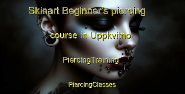 Skinart Beginner's piercing course in Uppkvitno | #PiercingTraining #PiercingClasses #SkinartTraining-Norway