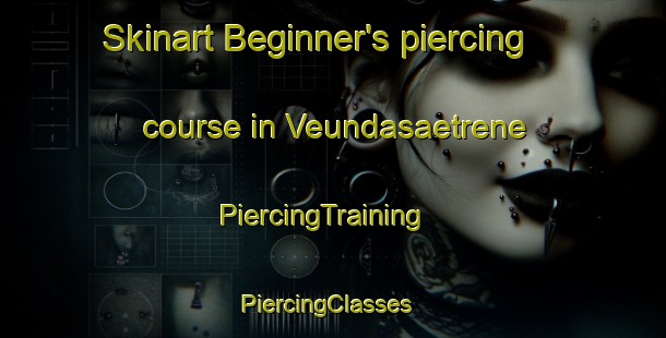 Skinart Beginner's piercing course in Veundasaetrene | PiercingTraining | PiercingClasses | SkinartTraining-Norway