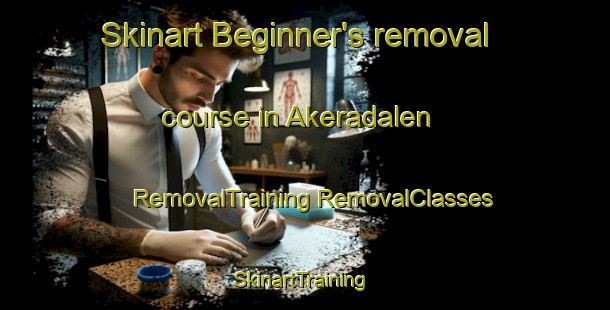 Skinart Beginner's removal course in Akeradalen | #RemovalTraining #RemovalClasses #SkinartTraining-Norway