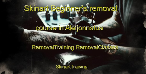 Skinart Beginner's removal course in Aletjonnstua | #RemovalTraining #RemovalClasses #SkinartTraining-Norway