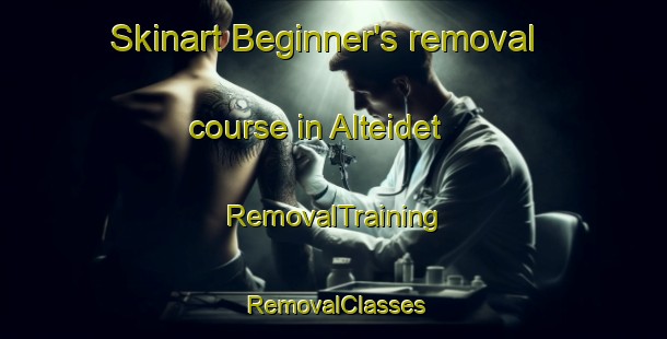 Skinart Beginner's removal course in Alteidet | RemovalTraining | RemovalClasses | SkinartTraining-Norway