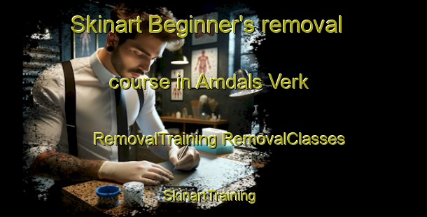 Skinart Beginner's removal course in Amdals Verk | #RemovalTraining #RemovalClasses #SkinartTraining-Norway