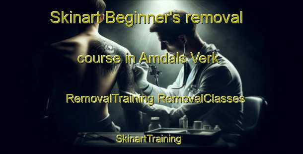 Skinart Beginner's removal course in Amdals Verk | #RemovalTraining #RemovalClasses #SkinartTraining-Norway