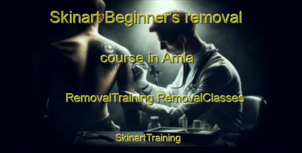 Skinart Beginner's removal course in Amla | #RemovalTraining #RemovalClasses #SkinartTraining-Norway