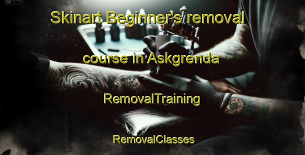 Skinart Beginner's removal course in Askgrenda | RemovalTraining | RemovalClasses | SkinartTraining-Norway