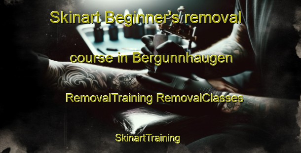 Skinart Beginner's removal course in Bergunnhaugen | #RemovalTraining #RemovalClasses #SkinartTraining-Norway