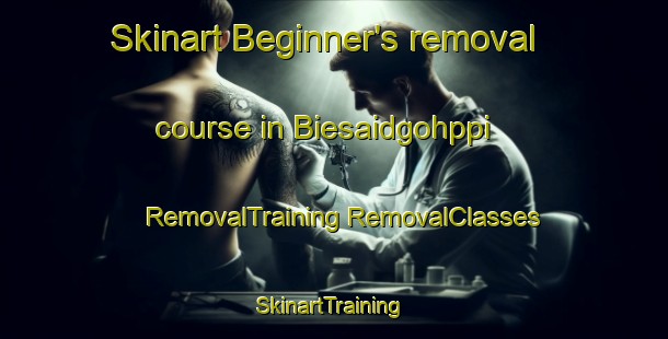 Skinart Beginner's removal course in Biesaidgohppi | #RemovalTraining #RemovalClasses #SkinartTraining-Norway