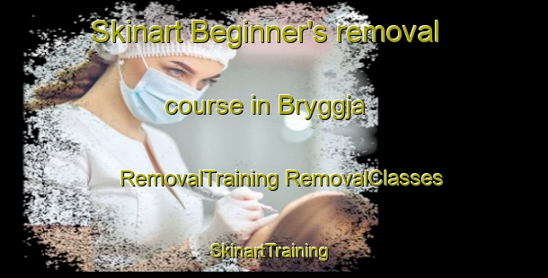 Skinart Beginner's removal course in Bryggja | #RemovalTraining #RemovalClasses #SkinartTraining-Norway