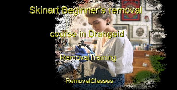 Skinart Beginner's removal course in Drangeid | RemovalTraining | RemovalClasses | SkinartTraining-Norway