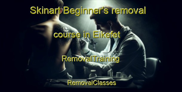 Skinart Beginner's removal course in Eikefet | RemovalTraining | RemovalClasses | SkinartTraining-Norway