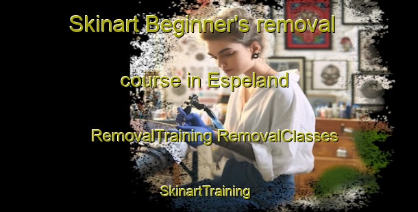 Skinart Beginner's removal course in Espeland | #RemovalTraining #RemovalClasses #SkinartTraining-Norway