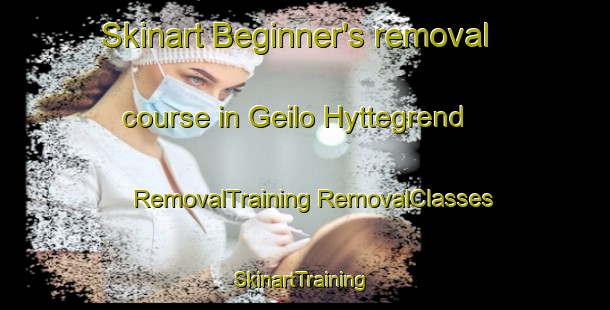 Skinart Beginner's removal course in Geilo Hyttegrend | #RemovalTraining #RemovalClasses #SkinartTraining-Norway