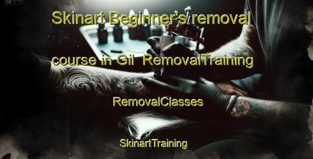 Skinart Beginner's removal course in Gil | RemovalTraining | RemovalClasses | SkinartTraining-Norway