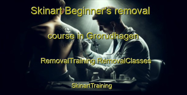 Skinart Beginner's removal course in Grorudhagen | #RemovalTraining #RemovalClasses #SkinartTraining-Norway