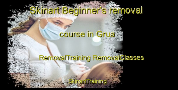 Skinart Beginner's removal course in Grua | #RemovalTraining #RemovalClasses #SkinartTraining-Norway