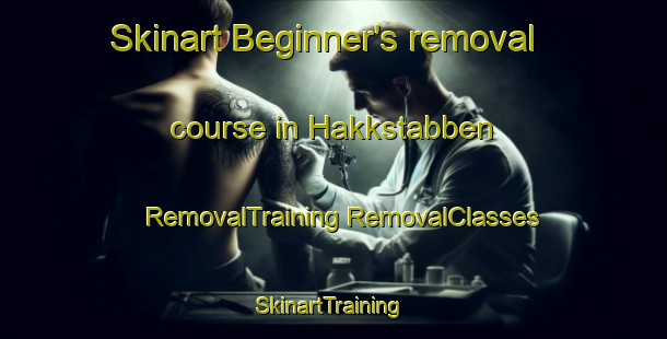 Skinart Beginner's removal course in Hakkstabben | #RemovalTraining #RemovalClasses #SkinartTraining-Norway