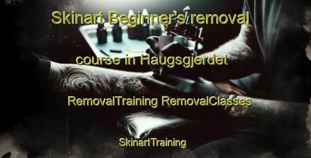 Skinart Beginner's removal course in Haugsgjerdet | #RemovalTraining #RemovalClasses #SkinartTraining-Norway