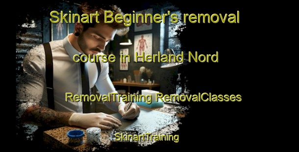 Skinart Beginner's removal course in Herland Nord | #RemovalTraining #RemovalClasses #SkinartTraining-Norway