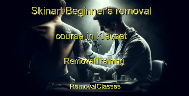 Skinart Beginner's removal course in Klevset | RemovalTraining | RemovalClasses | SkinartTraining-Norway