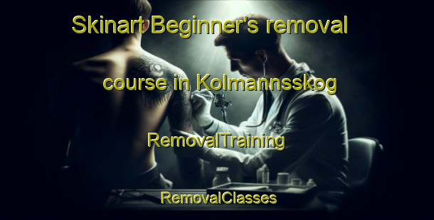 Skinart Beginner's removal course in Kolmannsskog | RemovalTraining | RemovalClasses | SkinartTraining-Norway