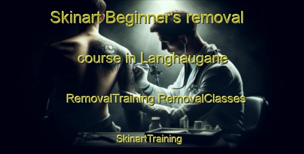 Skinart Beginner's removal course in Langhaugane | #RemovalTraining #RemovalClasses #SkinartTraining-Norway