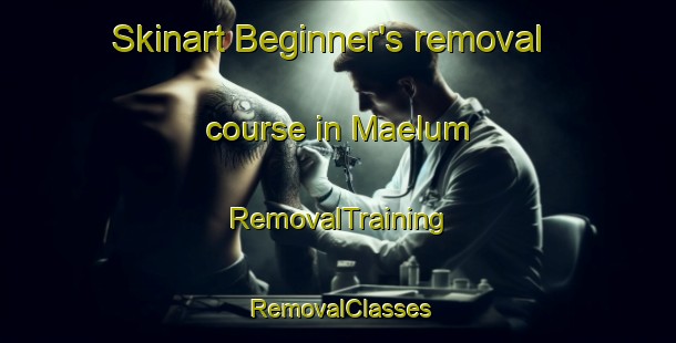 Skinart Beginner's removal course in Maelum | RemovalTraining | RemovalClasses | SkinartTraining-Norway