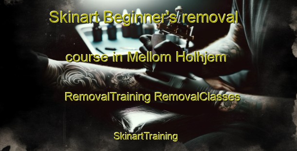 Skinart Beginner's removal course in Mellom Holhjem | #RemovalTraining #RemovalClasses #SkinartTraining-Norway