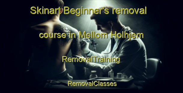 Skinart Beginner's removal course in Mellom Holhjem | RemovalTraining | RemovalClasses | SkinartTraining-Norway