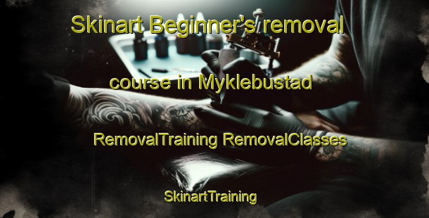 Skinart Beginner's removal course in Myklebustad | #RemovalTraining #RemovalClasses #SkinartTraining-Norway