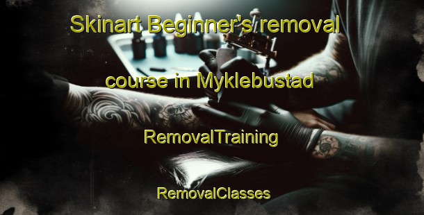 Skinart Beginner's removal course in Myklebustad | RemovalTraining | RemovalClasses | SkinartTraining-Norway